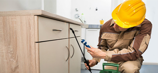 pest control services in uae